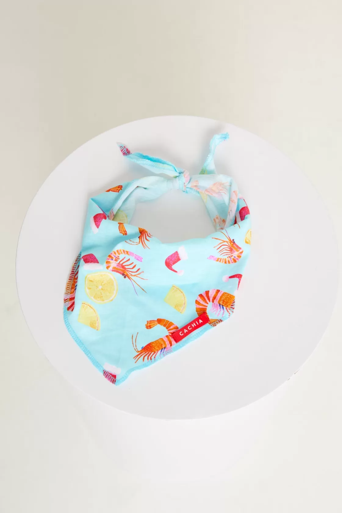 CACHIA Shrimp on the Barbie Mint Pet Bandana Clearance